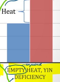 <ul><li><p>empty heat (unpaired)</p></li><li><p>fatugue,&nbsp;“tired but wired”, restless (thoughts/sleep), aggitated, figetting, sweating&nbsp;</p></li><li><p>feels like coffee on an empty stomach&nbsp;</p></li></ul><p></p>