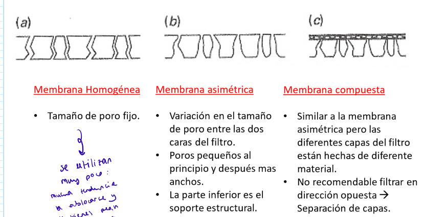<ul><li><p><strong>Membrana homogénea</strong></p><ul><li><p>Tamaño de poro fijo</p></li><li><p>No se utilizan mucho porque tienen tendencia a obstruirse</p></li></ul></li><li><p><strong>Membrana asimétrica</strong></p><ul><li><p>Variación en el tamaño de poro entre las dos caras del filtro</p></li><li><p>Poros pequeños al principio y después más anchos</p></li><li><p>La parte inferior es el soporte estructural</p></li></ul></li><li><p><strong>Membrana compuesta</strong></p><ul><li><p>Similar a la membrana asimétrica pero las diferentes capas del filtro están hechas de diferente material</p></li><li><p>No es recomendable filtrar en dirección opuesta (backwashing, se utiliza para limpiar el filtro), ya que las capas se podrían separar</p></li></ul></li></ul><p></p>