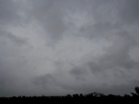 <p>Capa nubosa gris, frecuentemente sombría, cuyo aspecto resulta velado por las precipitaciones más o menos continúas de lluvia o nieve, las cuales, en la mayoría de los casos, llegan al suelo. El espesor de estas capas es en toda su extensión suficiente para ocultar completamente el Sol. Por debajo de la capa, existen frecuentemente nubes bajas, desgarradas, soldadas o no con aquella.</p>