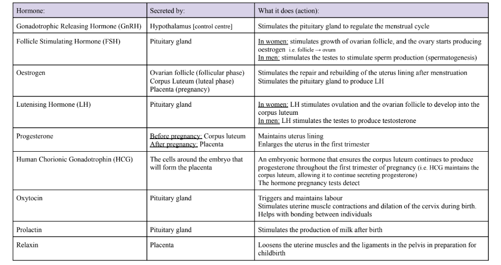 knowt flashcard image