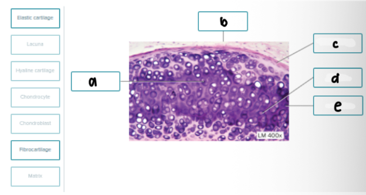 <p>Match the following</p>