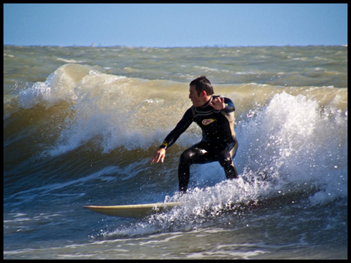 <p>go surfing</p>