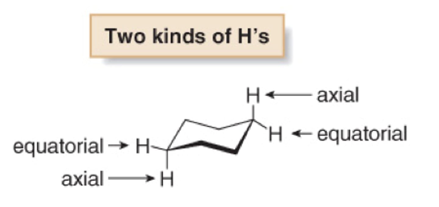 <p>Six H's almost in the same plane as the C atoms (equatorial) and Six H's above and below that plane (axial)</p>