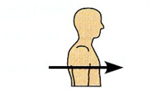 <p>Toward or at the front of the body; in front of.</p>