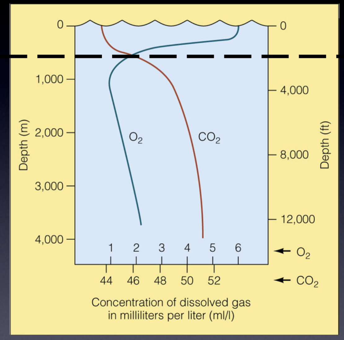 <ul><li><p>No photosynthesis (light cannot penetrate)</p></li><li><p>Reduced atmospheric diffusion</p></li></ul>