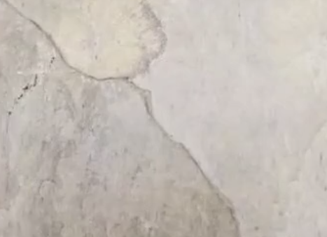 <p>natural ridges</p>