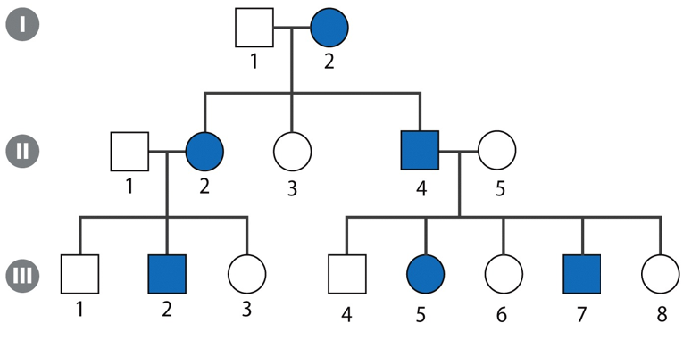 <p><strong>Autosomal dominant</strong></p><p>•Either sex is affected</p><p>•50% chance of affected child</p><p>•Usually at least one affected parent</p><p><em>→ De novo</em> or germline mutation</p><p>→ Exceptions when <strong>non-penetrance</strong></p>