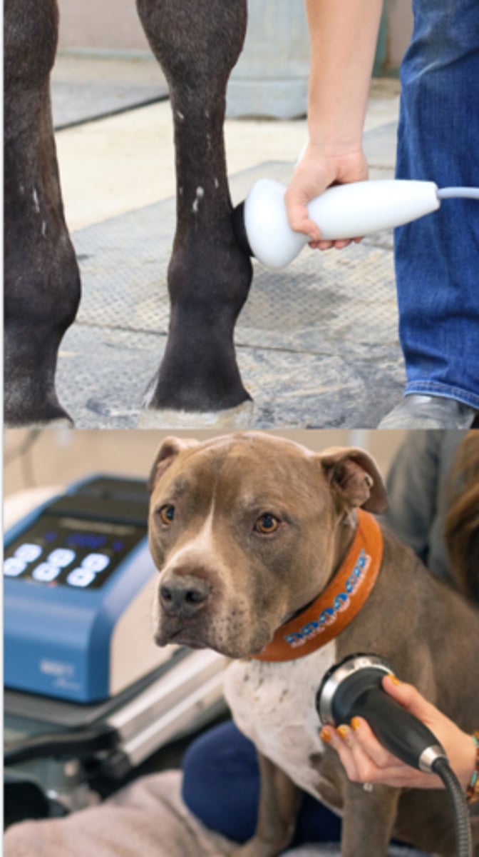 <p>Which rehabilitation method is very commonly indicated for tendinopathy and soft tissue injury, but may also be used for OA and back pain?</p>