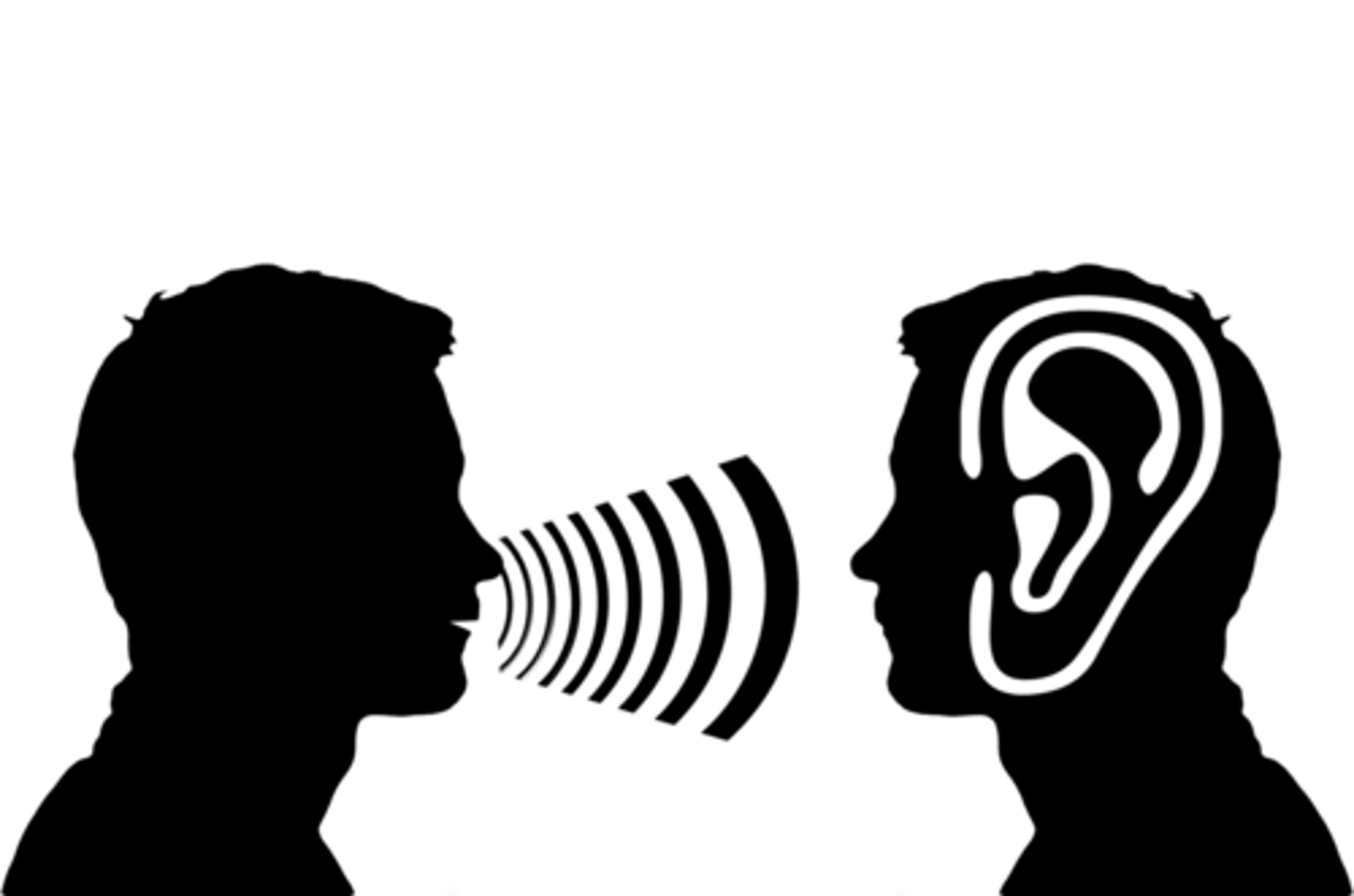<p>holds a limited amount of verbal and auditory information for a few seconds</p>