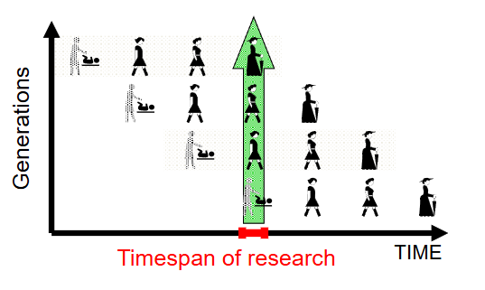 <p>Studying groups of individuals of different ages at <strong>one point in time</strong>.</p><ul><li><p>Measure <em>interindividual differences</em>.</p></li></ul><p></p>