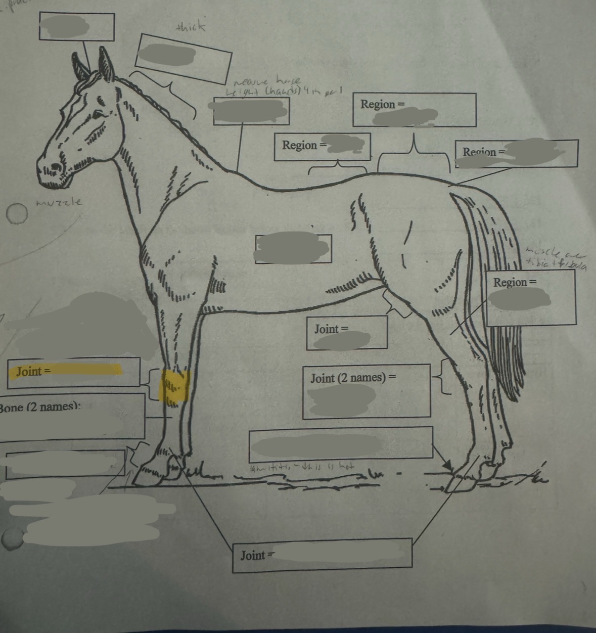 knowt flashcard image