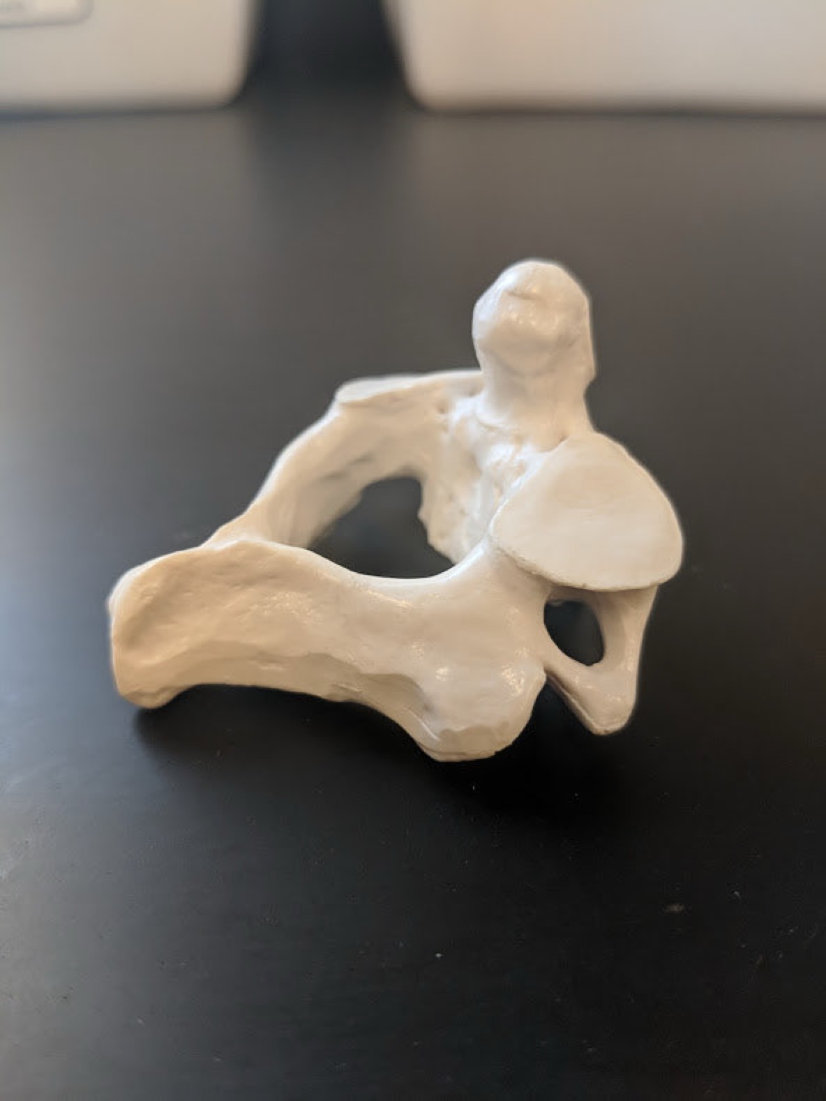 <p>Name this specific vertebra</p>