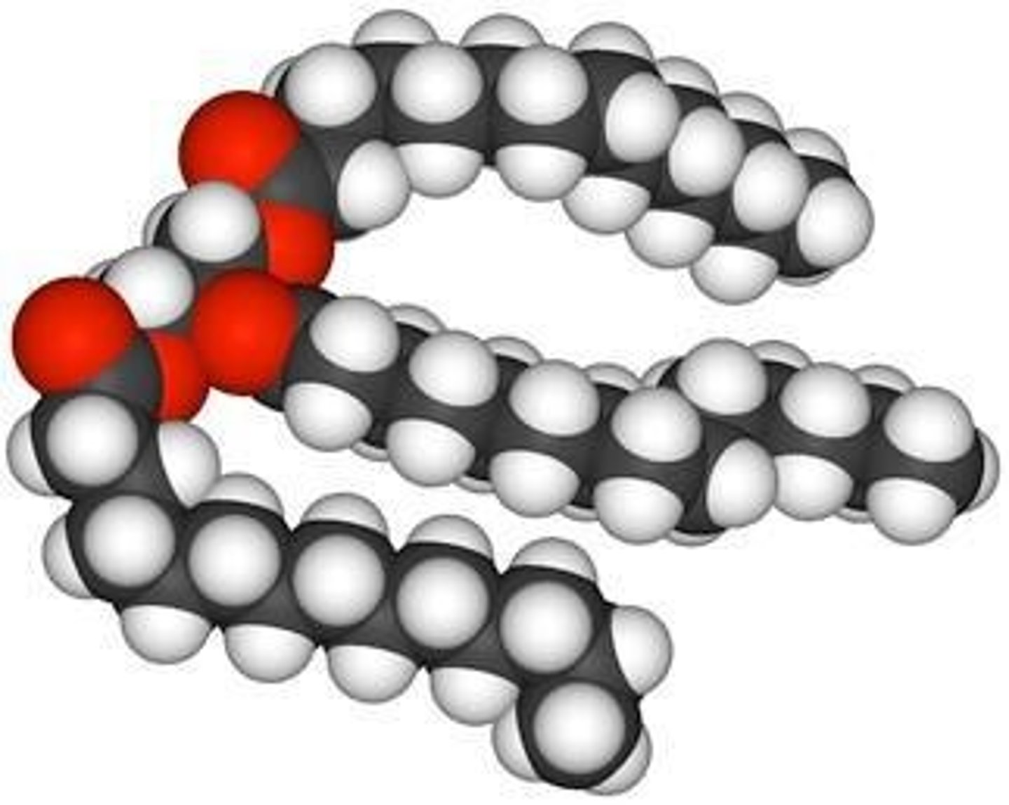 <p>Fats/Oils that store 2.25 times more energy per gram than any other biological molecule.</p>