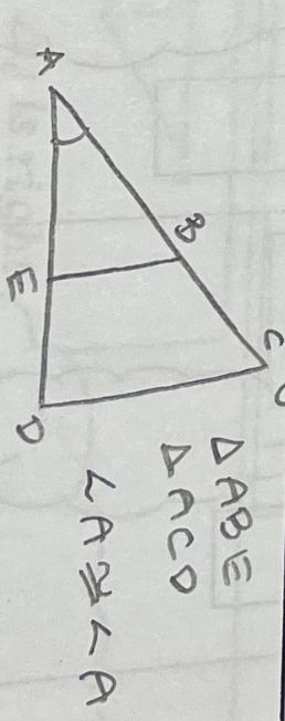 <p>a geometric figure is congruent to itself</p>