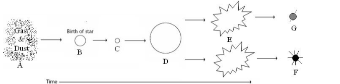 <p>E</p>
