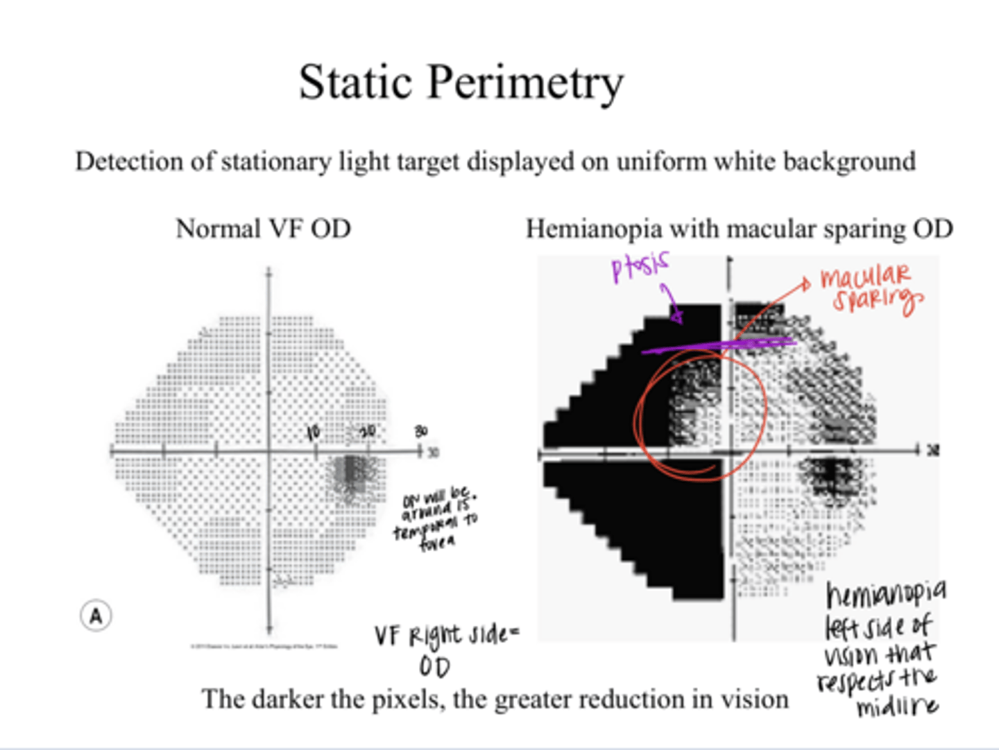 <p>detection of stationary light target displayed on uniform white background</p>