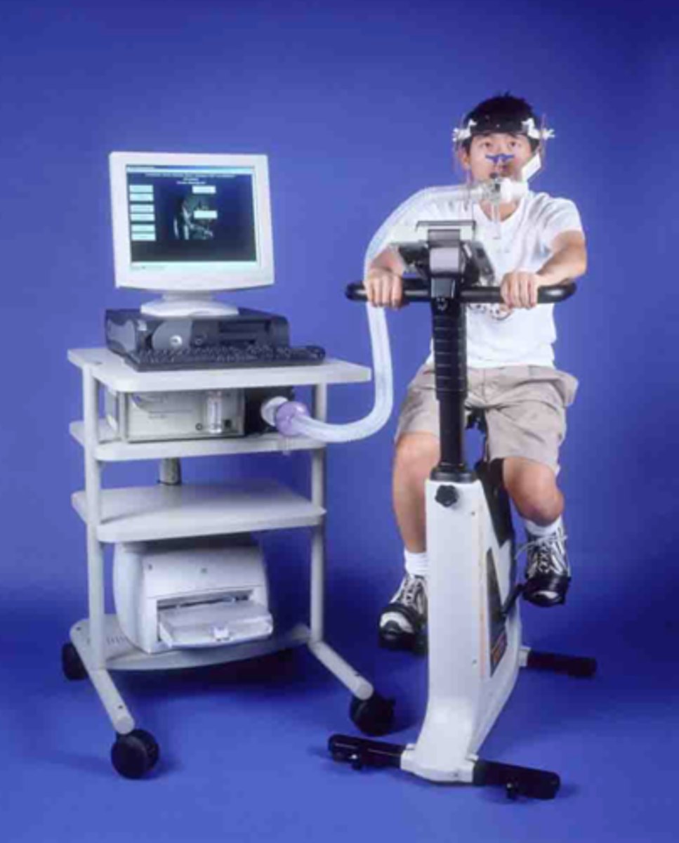 <p>measure O2 consumption</p>