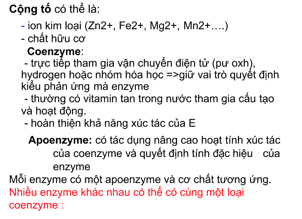 <p><strong>Cộng tố (cofactor) của enzyme có thể là:</strong></p><p>A. Chất vô cơ duy nhất</p><p>B. Ion kim loại hoặc chất hữu cơ</p><p>C. Acid amin hoặc acid nucleic</p><p>D. ATP hoặc GTP</p>