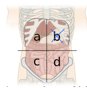 <p>What is this quadrant?</p>