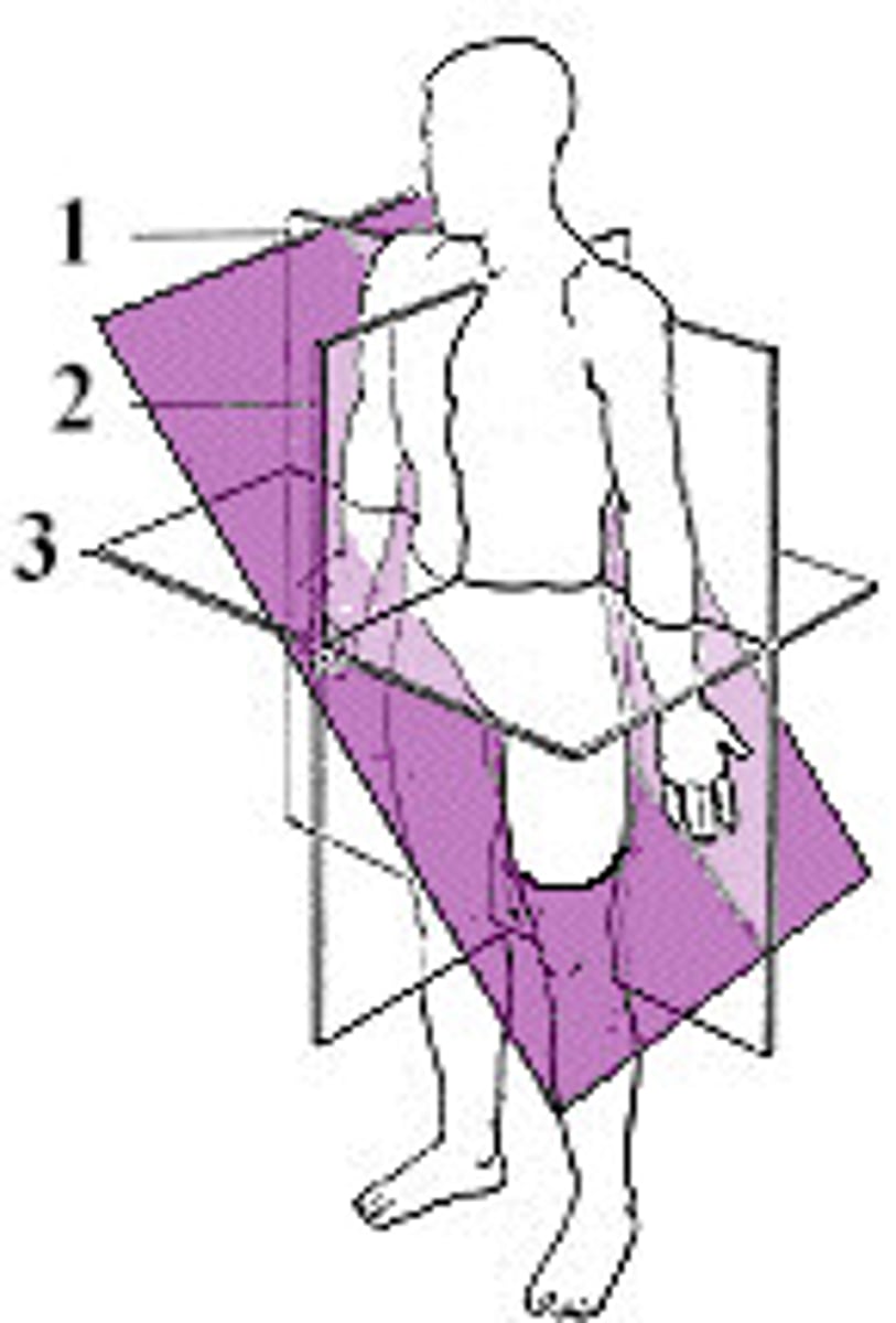 <p>A minor plane that passes through the specimen at an angle</p>