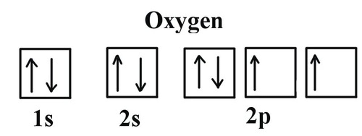 <p>Why does O have a lower IE than N even though IE would normally increase as nuclear charge increases?</p><p>(also happens b/t P and S)</p>
