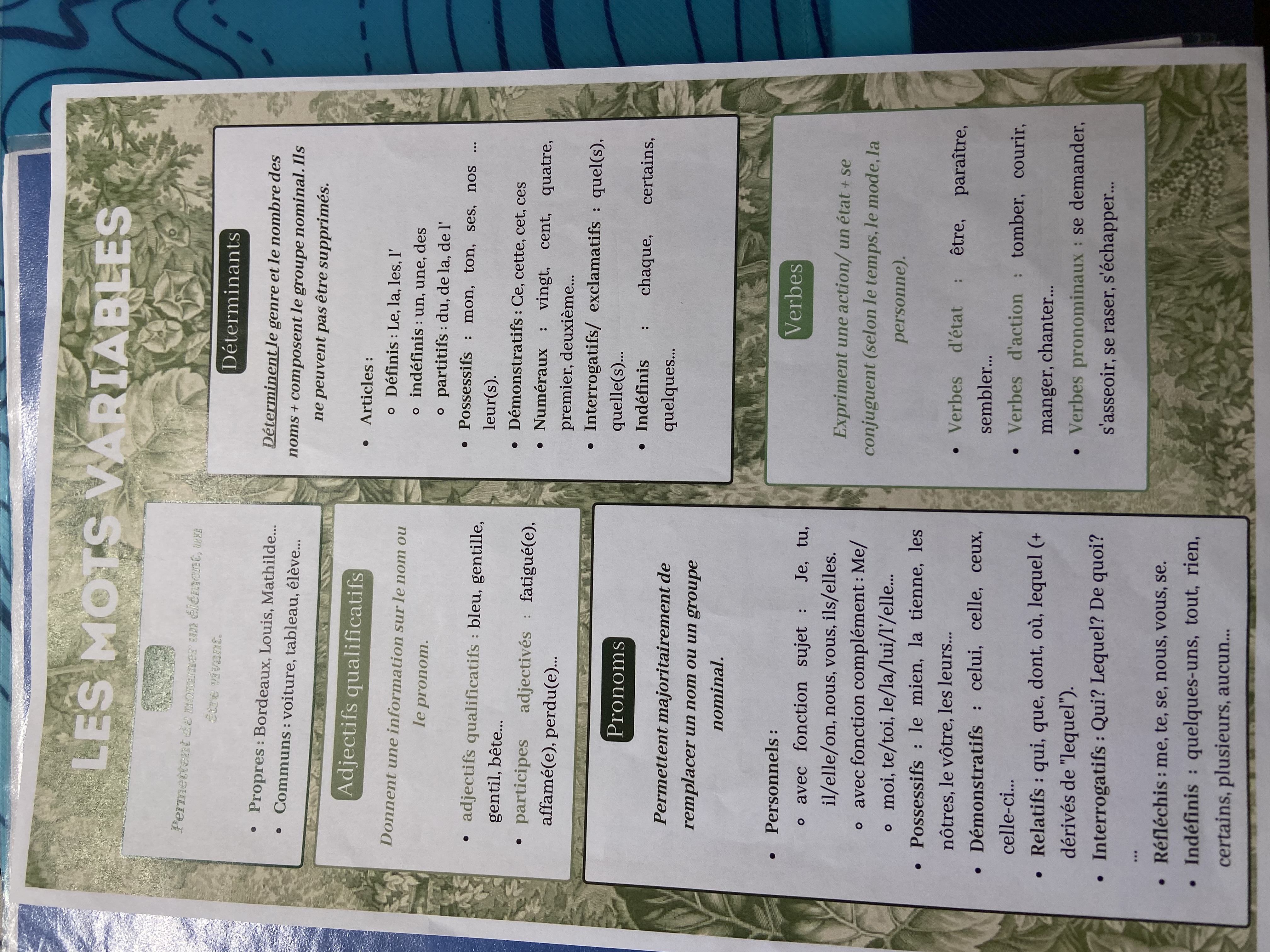 <p>Nature grammaticale </p>