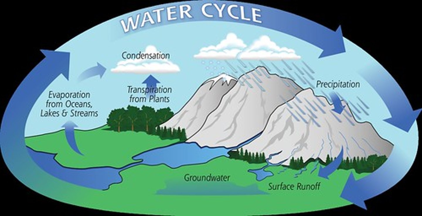<p>All the water at and near the surface of the earth, 97% of which is in oceans.</p>