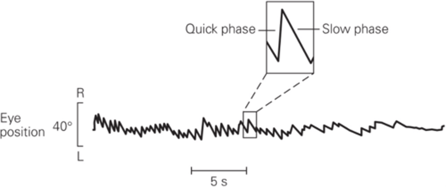 <p>What is slow phase?</p>