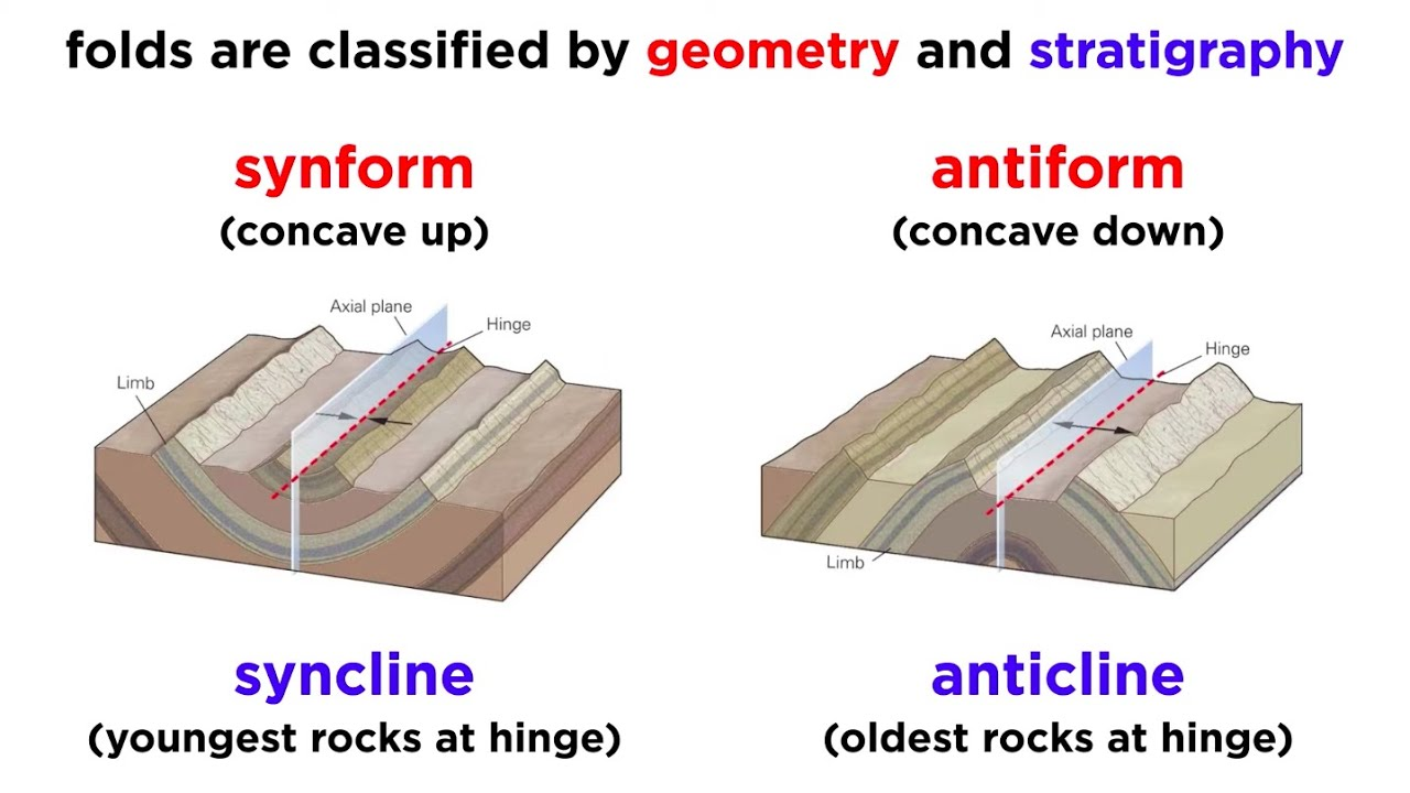 <ul><li><p><strong>Anticlines</strong> → Erode into valleys due to weaker core rocks.</p></li><li><p><strong>Synclines</strong> → Form ridges if resistant layers are present.</p></li><li><p><strong>Faults</strong> → Create fault scarps, offset landforms, and fault-block mountains (e.g., Basin and Range Province).</p></li></ul><p></p>