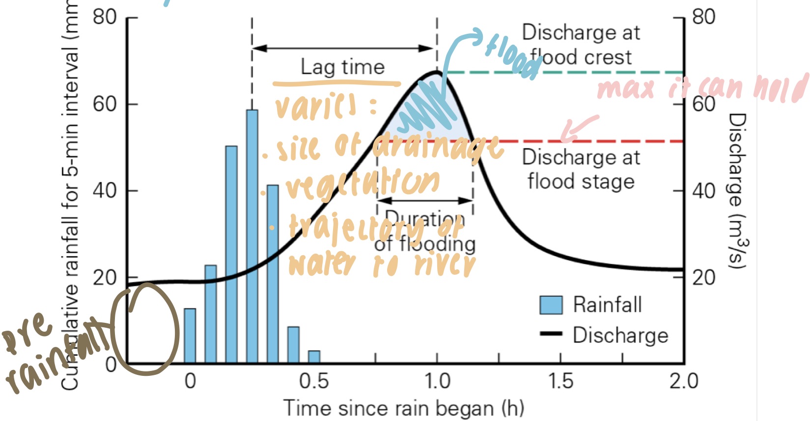 <ul><li><p>length of lag time depends on:</p><ul><li><p>basin area and shape</p></li><li><p>spacing of drainage channels</p></li><li><p>vegetation cover</p></li><li><p>soil permeability and land use</p></li></ul></li><li><p>time delay cuz water has to make way to river</p></li></ul>