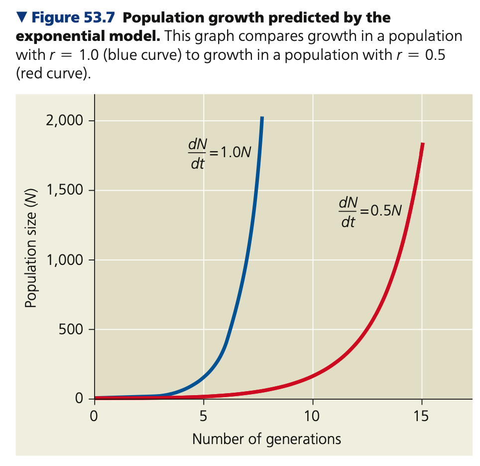 Graph for exponential growth
● More individuals are added per unit time when the population is ______ than when it is smaller; resulting in a steeper, __-shaped curve.
● J-shaped curves are characteristic of some populations that are introduced into a new environment or whose numbers have been drastically reduced by a ________ event and are ______.
● Rate of growth is also dependent on the intrinsic rate of increase r. The ____ the r, the faster the growth.