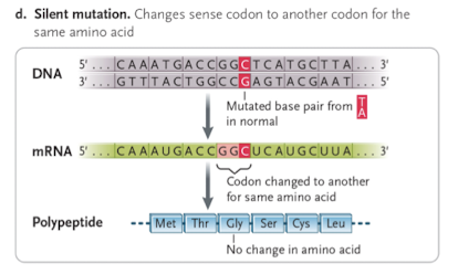 <p> codon change does not change the amino acid due to degeneracy of the genetic code</p>