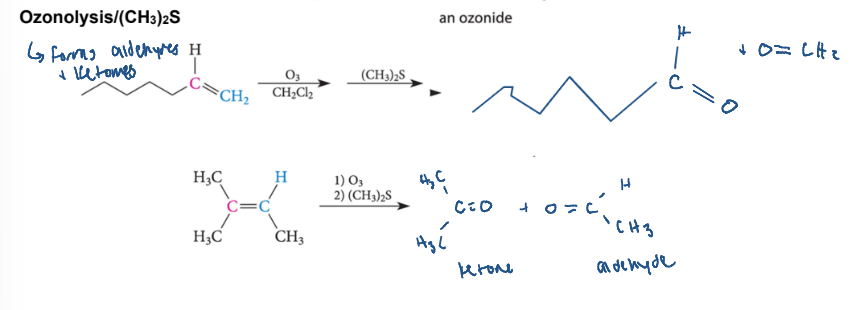 <p>forms a aldehyde and a ketone</p><ol><li><p>O3</p></li><li><p>(CH3)2S</p></li></ol><p></p>
