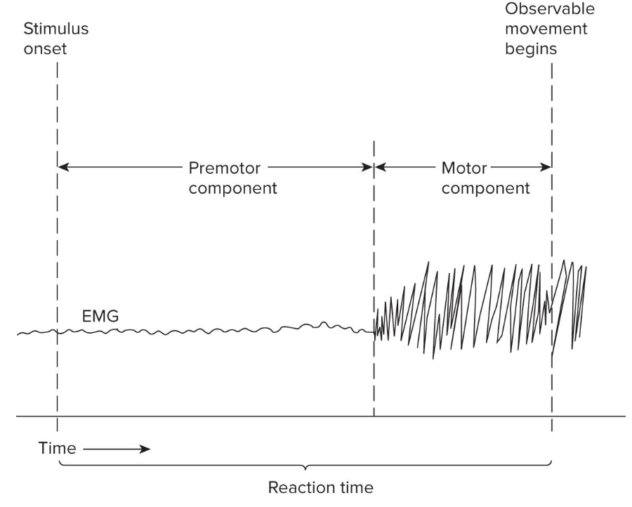 <p>What are the two components within the Reaction Time peiod?</p>