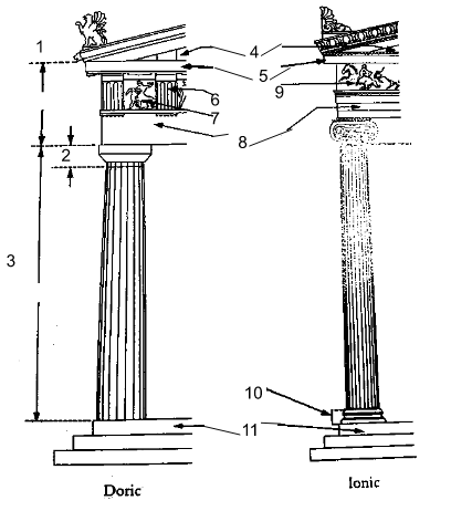 Los partes del column