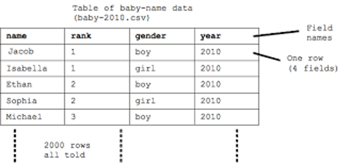 <p>An arrangement of data made up of horizontal rows and vertical columns.</p>