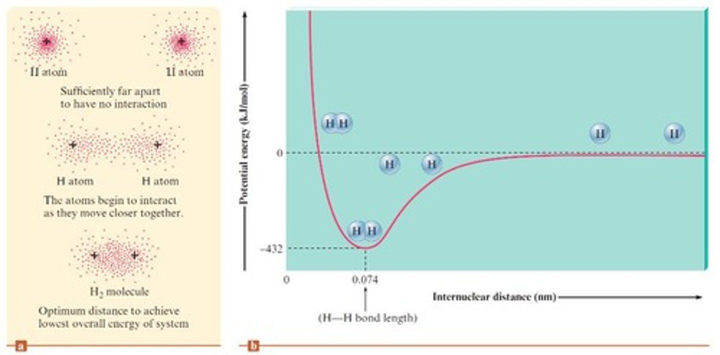 <p>Electrons reside in the space between the two nuclei, leading to increased stability.</p>