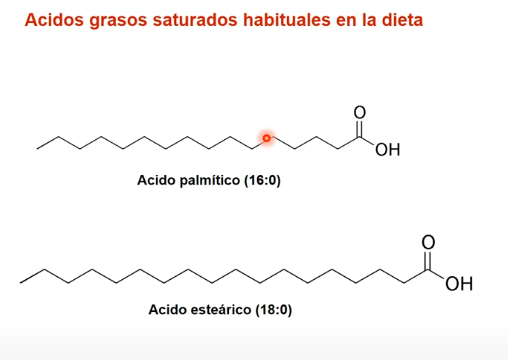 <p>¿Puedo producir estos ácidos grasos?</p><p>¿Son esenciales o no esenciales?</p>