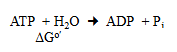 <p>how much energy does this reaction release and state whether it is exer or ender</p>