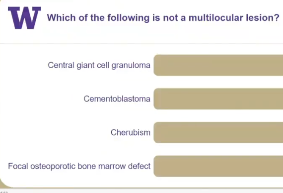 <p>which of the following is NOT a <strong>multilocular</strong> lesion? </p>