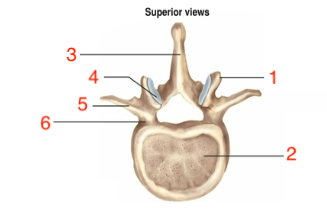 <p>what is #4</p>