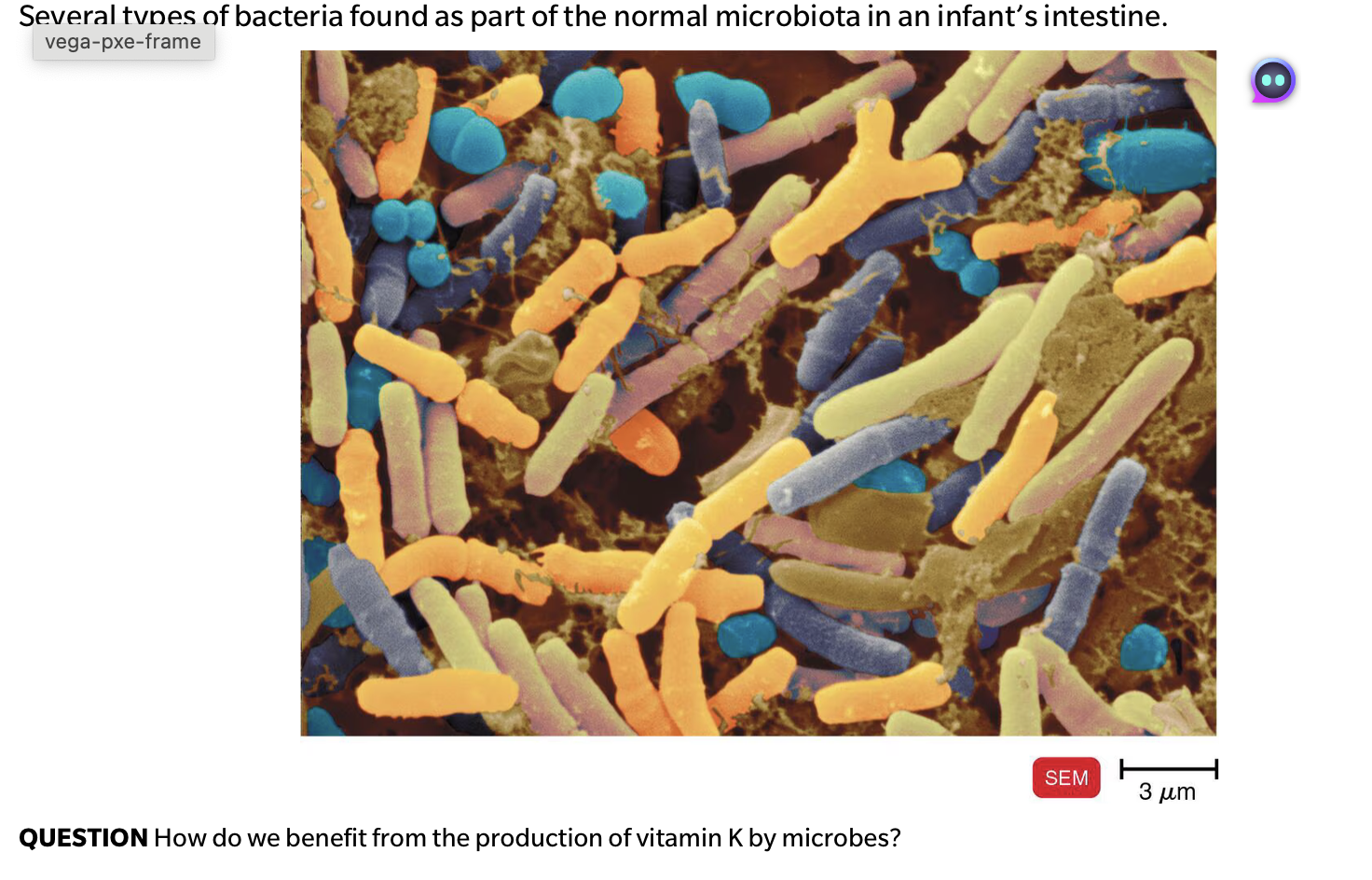 <p>QUESTION How do we benefit from the production of vitamin K by microbes?</p>