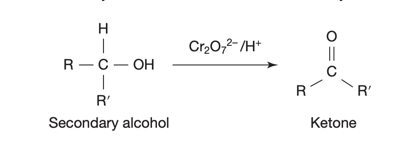 <ul><li><p>in presence of oxidant = MnO<sub>4</sub><sup>-</sup>/H<sup>+</sup> , Cr<sub>2</sub>O<sub>7</sub><sup>2-</sup>/H<sup>+</sup></p></li><li><p>secondary alcohol → (loses some H) → ketone</p></li></ul><p></p>