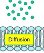 <p>the passive movement of molecules from high to low concentration</p>