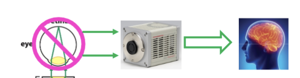 <p>Modern Microscopy uses Sensitive Detectors that translate the intensity of light into images that can be "seen" and measured; collecting digital images</p>
