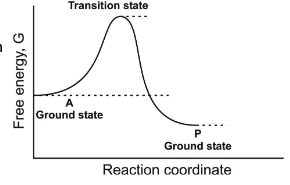<p>Between which two states is the overall ∆G for this reaction found?</p>