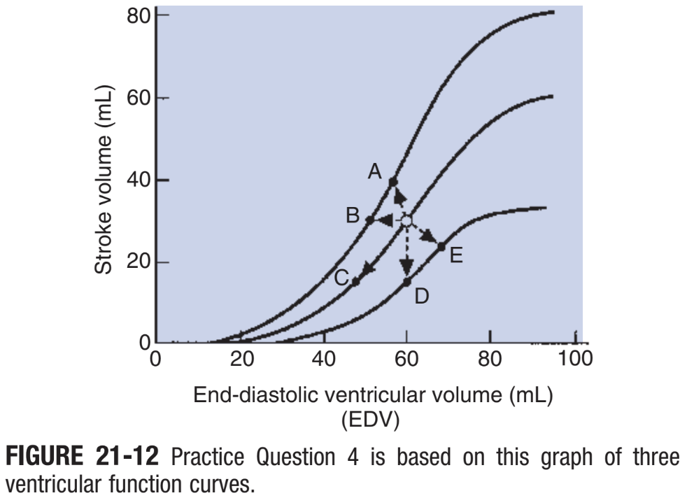 <p>CH 21, Q4: starting at the open circle in Figure 21-12, which point would be reached after the contractility decreased and the preload increased?</p><p>a. point A</p><p>b. point B</p><p>c. pont C</p><p>d. point D</p><p>e. point E</p>