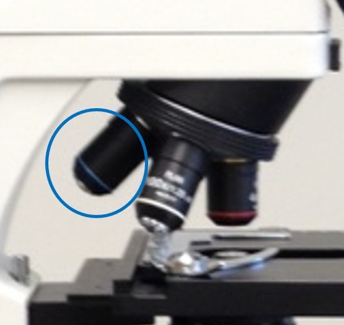 Calculate total magnification when using the circled objective lens