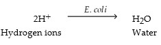 <p><span><span>Which of the following is true about this reaction?</span></span></p>