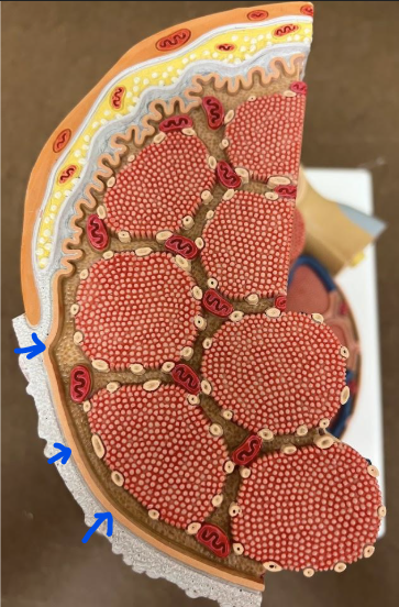 <p>What is this?</p>